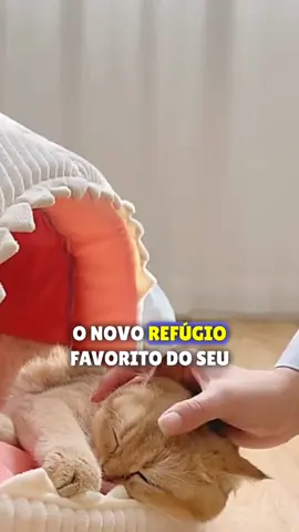 casinha de gato em formato de tubarão. #amazonthings #amazon #achadinhosshopee #achados 