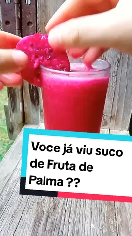 Vamos fazer esse suco diferentão, suco de fruta de Palma😍 Você tomaria ??  #suco #juice #vidareal #colheita #vegetablegarden #diferente #curiosidades #curiosity #receitafit #receitasfaceis #receita #comida 