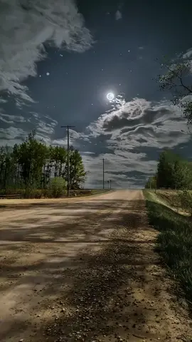 #movies #viral #fyp #fy #tiktok #relatable #real #pov #1743 #2024 #♥️ #comocuandoerespibe #xd #viralditiktok #virall #🤑 #viril #videos #ohio #👻 