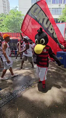 DÁ-LHE, DÁ-LHE, DÁ-LHE Ô ❤️🖤 #urubuzinha #blocodecarnaval #urubuzada #flamengo #carnaval #imperatrizleopoldinense #fypシ 