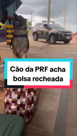 Mais um trabalho bem feito da PRF !  Operação pente fino da PRF 👇🏻 @CortesPRFBrasilFronteira  Caminhão recuperado de roubo 👇🏻 @CortesPRFBrasilFronteira  Apreensão de 1 tonelada 👇🏻 @CortesPRFBrasilFronteira  #prfbrasil #operacaofronteirabrasil #PRF #fiscalização #fyp #editalprf 