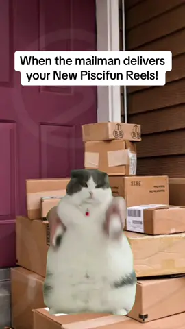 Its a VIBE! 😎😎😎