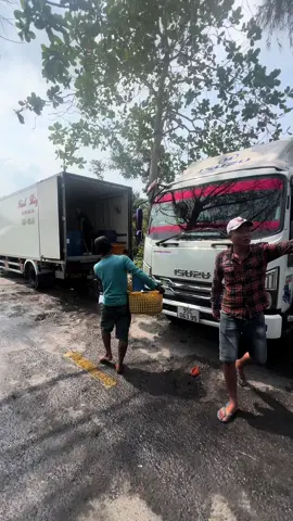 Nay bão chợ ae tôm càng ơi…mấy a ngán chưa chớ e ngán tới cổ họng rồi🤧🤧#tomcangxanh #xetom95 