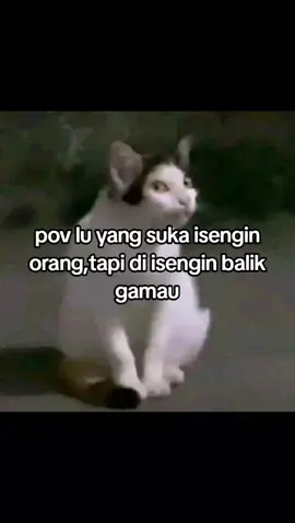 ga suka di isengin balik jirlah😡#4u #fyppppppppppppppppppppppp #foryoupageofficiall #xyzbca 