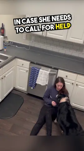 He Is So Smart... 😳❤️ #fyp #wholesome #heartwarming #servicedog #dog 