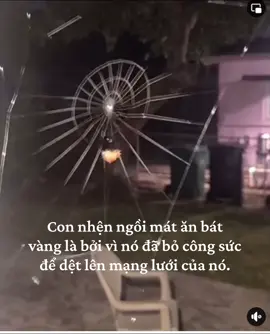 Hiểu không?#xuhuong #spiderman 