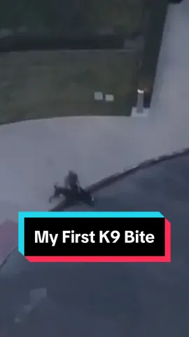 The Story of My First K9 Bite #dog #dogs #puppy #k9 #police #k9unit #bitework #fyp 