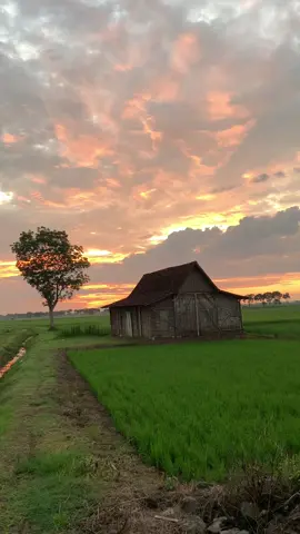 vibes jam 05.30 wib #rejabaik #pemandangan #sunrise #fyp 