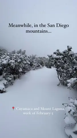 Most of San Diego is mud right now. Most, but not all. In the mountains, a winter storm has blanketed everything in white—and there’s more on the way. This footage was taken in Mount Laguna and Cuyamaca; other mountain areas like Palomar and Julian have snow on the ground, too. There’s a winter storm warning in effect, though, so don’t head up just yet. Check out Alter Experiences on IG (who shot this video) for the latest weather updates in Mount Laguna and the surrounding areas.