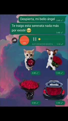 Que tu amorcito nunca sea solo espectador/a ❤️🌹 #ramobuchon  Código: NTSEY9 solo en #stickerly #paraguayita_01 #ramobuchonstickers  #serenata #stickerlystickers #sinosdejan #sanvalentin #ramodeflores 
