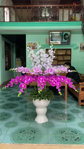 Kịp deadline tặng mẹ chậu lan kẽm nhung chung tết 🥰🥰 #hoakemnhunghandmade #hoatet2024 #hoalankemnhung #hoalanhodiep #lanhodiepkemnhung 