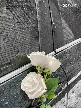 #เพลงรัก #เพลงลงสตอรี่ #เพลงความหมายดีๆ #tiktoksong #สตอรี่_ความรู้สึก😔🖤🥀 #ฉันเอง 