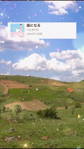 曲名　風になる #心に響く曲 #猫の恩返し主題歌 #つじあやの #capcut 