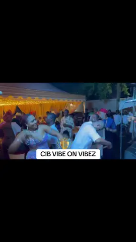 CIB ..VISION IN PROGRESS!
