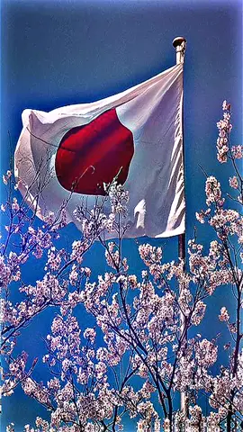 Dream Land 🇯🇵🇯🇵#japan #fyppppppppppppppppppppppp #Dream #foryou #fypシ゚viral 