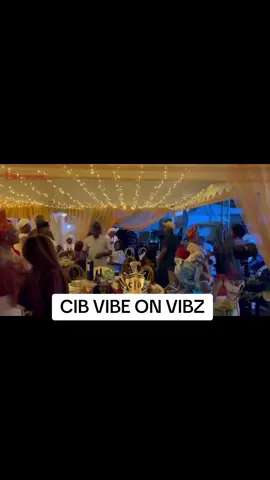 CIB VISION IN PROGRESS..