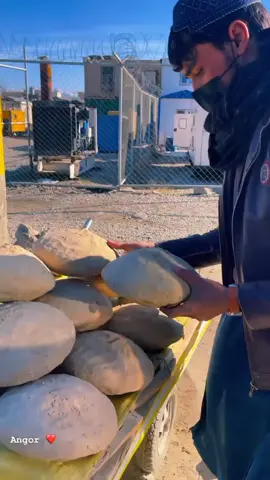 To enjoy grapes beyond the summer season, Afghans use mud-straw containers called Kangina, preserving them for up to six months without modern refrigeration or chemicals.#visitafghanistan #viral #trending #foryoupage 