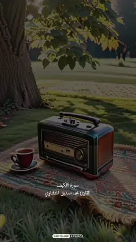 #الشيخ_محمدصديق_المشاوي_للتلوات_النادره 🎙: القارئ - #محمد_صديق_المنشاوي 📖 : سورة الكهف - آيات ٣٩ : ٤١#راحة_نفسية #المنشاوي_الباكي_القرآن_الكريم #صلي_علي_النبي #بني_سليم515🔥 #مصر_العراق_السعودية_تونس_المغرب_الجزائ #فلسطين_لبنان_سوريا_اليمن_مورتانيا_غزه♥️ #سوهاج_قنا_اسيوط_اسوان_المنيا_الاقصر #اكسبلورexplore #capcut #الكويت #البحرين🇧🇭 