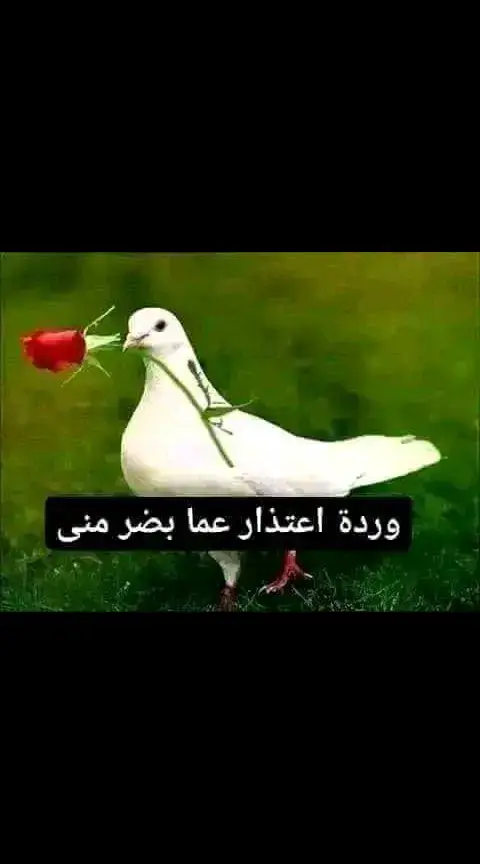 #ب_الصيني_ماله_حل😂😂 #ب_الصيني_ماله_حل😂😂 #ب_الصيني_ماله_حل😂😂 #ب_الصيني_ماله_حل😂😂 #ب_الصيني_ماله_حل😂😂 #ب_الصيني_ماله_حل😂😂 #ب_الصيني_ماله_حل😂😂 #ب_الصيني_ماله_حل😂😂 ##ب_الصيني_ماله_حل😂😂 #ب_الصيني_ماله_حل😂😂 #ب_الصيني_ماله_حل😂😂 #######ب_الصيني_ماله_حل😂😂 #ب_الصيني_ماله_حل😂😂 ###ب_الصيني_ماله_حل😂😂 ##ب_الصيني_ماله_حل😂😂 #ميسي 