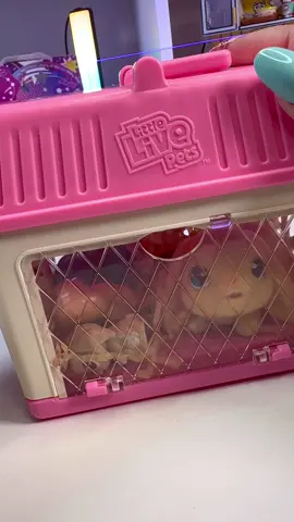 Little Live Pets Mama Surprise Minis Lil Bunny #bunny #easter #littlelivepets #asmr 