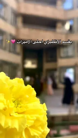 ادرس الآن كن فخوراً لاحقاً 🤍⁧ #خريجون #خريجونا_فخر_كلياتنا #FunkNoCapCut #خريجون2023 