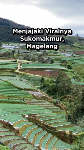 Ngebus ke Tempat viral di sukomakmur pada masanya. #sukomakmur #desasukomakmur #magelang #viral #serunyaliburan 