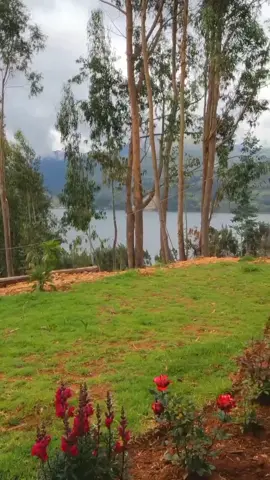 ¡𝗤𝘂𝗲 𝘁𝘂 𝗳𝗲𝗯𝗿𝗲𝗿𝗼 𝘀𝗲 𝘃𝗲𝗮 𝗮𝘀𝗶́!🏔️😍 Visita 𝗣𝗔𝗖𝗨𝗖𝗛𝗔 𝗚𝗟𝗔𝗠𝗣𝗜𝗡𝗚,  te invitamos a escapar de la rutina y sumergirse en una experiencia inolvidable con las personas que quieres.  ¡𝗘𝘅𝗽𝗲𝗿𝗶𝗺𝗲𝗻𝘁𝗮 𝗹𝗮 𝗺𝗮𝗴𝗶𝗮 𝗻𝘂𝗲𝘀𝘁𝗿𝗼 𝗴𝗹𝗮𝗺𝗽𝗶𝗻𝗴! 📍Estamos en Pacucha - Andahuaylas, Apurímac, Perú #Pacuchaglamping #glampingperu #lagunamashermosadelperu #perulake #andahuaylas_apurimac_perú #lagunadepacucha #andahuaylas #chankasandahuaylas #tierrachanka #tiktoktravel #theandesmountains #theandes #pacucha #glamping #hotelboutique #hotelesperu #peruhotels #perutravel #campingperu #cusco #abancay #ayacucho #lima 