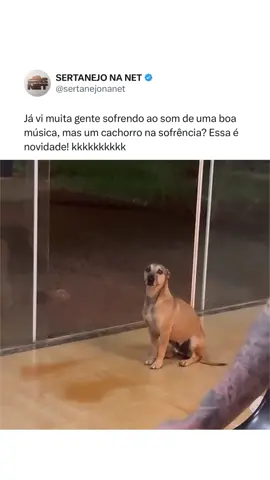 Oh vida cão! Sebastião com saudade da caramela 😮‍💨🤣 🎥: Reprodução/Internet/JeffersonMoraes  #músicasertaneja #doguinho #sertanejonanet 
