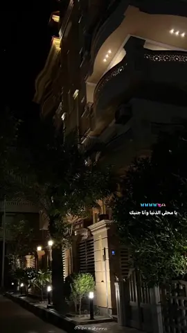 يا محلي الدنيا وانا جنبك🦋🦋🦋🦋💘🫶🏻#foreyou #virelvideo #fypシ゚viral🖤video #tiktokpakistan #tamerhosny #دمياط_الجديدة 