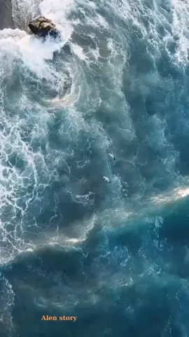 nhớ cậu ...Trần Lập #stt #story #thongdiepcuocsong #baihoccuocsong #caunoitruyendongluc #thấm #đời #ngẫmsựđời #levanlen8 