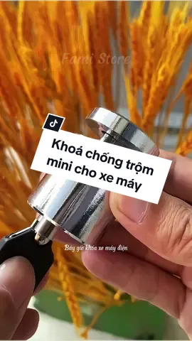 Khoá chống trộm xe máy, xe đạp điện. #famistore #famistoregiadungxanh #khoachongtromxemay #khoachongtrommini #tienich #giadungtienich #muataitiktok #thanhthoiluottet #xuhuong #xuhuongtiktok 