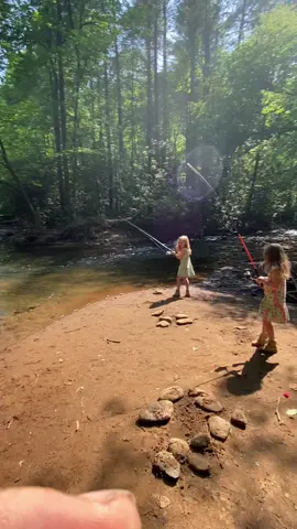 #fyp #foryou #troutfishing #trout 