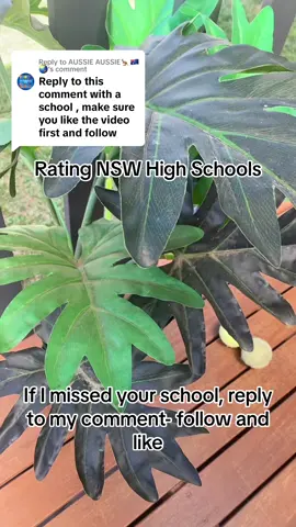 Replying to @AUSSIE AUSSIE🦘🇦🇺🌏 #thataussieguideaccount #nswhighschoolrating #nswhighschooluniformrating #relateble #foryou #nswregion #explore #burkehighschool #killarahighschool #wannissahigh #kingswoodhigh 