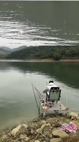 Các bác câu được em cá nặng nhất là bao nhiêu kg.🥰😂#docaucagiaitri #fishing #docauca #xuhuong 