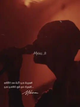 මුලාවේ - @Mihiran  #mihiran #lakshithamihiran #mulawe #ahimiwayanabawdanabadune #ahimiwayanabawudanabandune💜️🌹 #sidaganawi #mihiransongs #magaharee #apidethanaka #mpluslk #fyp #fylシ #fypシ゚viral #fypage #fypシ #fyppppppppppppppppppppppp 