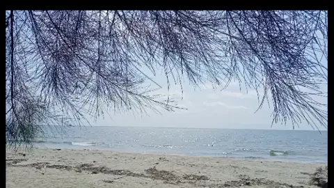 #pantaikayumenangacehsingkil #sufiansuhaimidimatamu