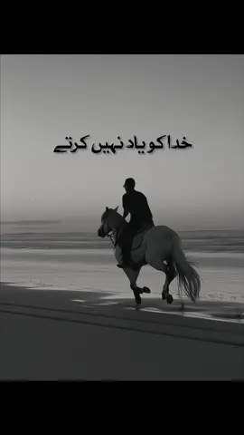 دنیا والوں سے کوئی امید نہیں رکھتا ہو کرم ہے خدا کا وہ کبھی گرنے نہیں دیتا-  -🫰🏻✌🏻 #Foryou #foryoupagee #foryoupageofficiall #virał #viralvideos #fyp #tiktok #views #viwesproblem #unfreezemyaccount #tiktokpakistan #growmyaccount #جھاد #horse #horselover #urdupoetry #urduline #oye_baghi 