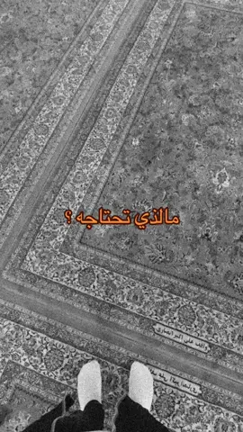 أمن يُجيبُ النَّفـسَ إذِا أشتاقَت للحُسَيْن 🫀🥹❤️‍🩹. . . . #ياحسين #313 #foryou #كربلاء #explore #حسين #اكسبلورexplore #شيعة #يااهل_البيت #explore #يااباعبدالله_الحسين #♥️ #اشتياق #CapCut 