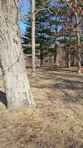 Was that deer telling me to go away at the end with that move? 😂 I would call this more of a walk than a hike since it was on a paved road the whole time, but it did go through some woods for a minute. I saw wayyy too many abandoned buildings that super creeped me out, so I didn't hug any trees today I just kept it moving for 3 miles! 😂 But I'm so happy I kept my promise to myself again and got outside in nature.  I was smiling the whole time. Do something to make yourself smile today ❤️ i see you & i love you