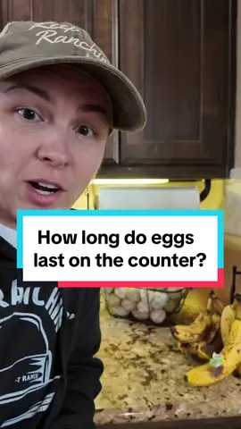 How long will eggs stay good out on the counter? #Eggs #ValentineGift #CrazyChickenLady #Chickens #RanchTok #AgTok #KeepRanchin #KingOfTikTok #RanchLife #Ranch 