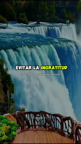 Da sin esperar nada!!  #reflexiones #consejos #cosasdelavida #seagradecido #mensajes #fyp #foryou 