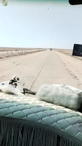 @ابو رامي العلواني @ابوسجاد @جرح الغوالي @؟يُيُ/عٰبُۅډ💖🏂 @علي العموري 