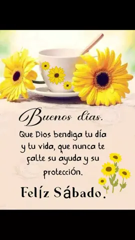 #felizsabado #parati #fypシ゚ #frasesdetodounpoco #musicadelayer #buenosdias #ustedqueharia 