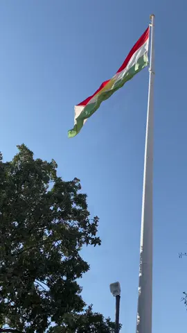 کوردستان کۆمارم دانا ☀️#kurdistan #kurd #kurdish #redarkurda #kurdishedit #fyp #foryou #fypage #viral #کوردستان #کورد #کوردش #کوردی #بەیەکەوە_زمانی_کوردی_دەپارێزین #قازیمحمد 