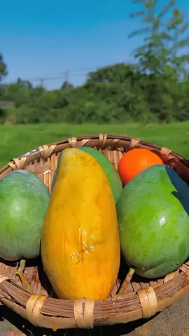 Wonderful of MANGO #fruit #satisfying #deliciousfruits 