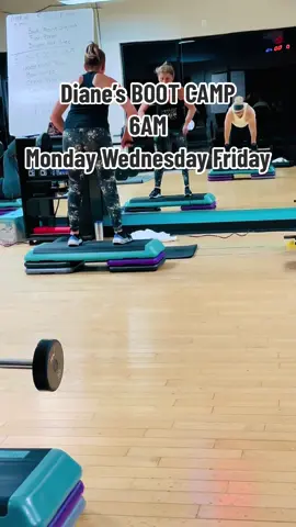 Dianes 6am Boot Camp class. Every Monday Wednesday & Friday. #premierchoicefitness #groupfitness #groupfitnessinstructor #locallyowned #GymTok 