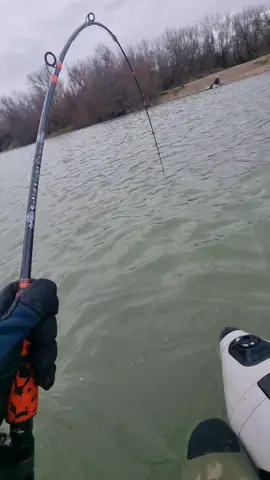 Primer 230+ a lance este año 🙂 @Adventerfishing  #fishing #pesca #wedkarstwo #siluro #catfish #sum #spinfishing #rivergishing #predatorfish #monsterfish #deporte #sports 