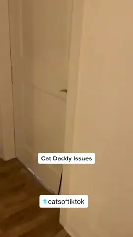 Wellness for Everybody....and Everycat.....Check in and relax. #catsoftiktok #cat #kitten #beauty #wellness #trending #fyp 