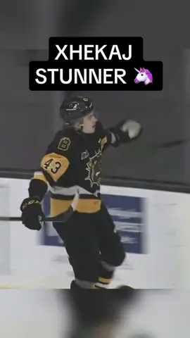 🦄🦄🦄 #florianxhekaj #xhekaj #gohabsgo #habs 