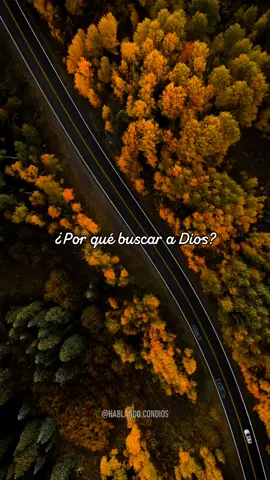 ¿Por qué buscar a Dios? Porque no hay nadie como Él. ✝️❤️ #buscaaDios #cristianos #palabradeDios #chicacristiana #Dios #proteccion #bendiciones 